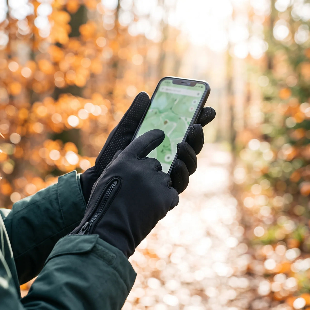 Hände in den beheizten Handschuhen Griff bedienen im Herbstwald ein Smartphone