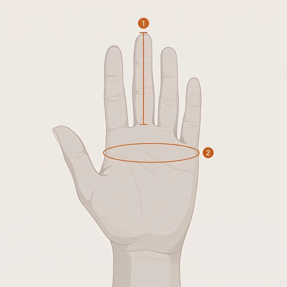 Hand mit zwei Messpunkten: 1 Länge des Mittelfingers, 2 Umfang der Handfläche